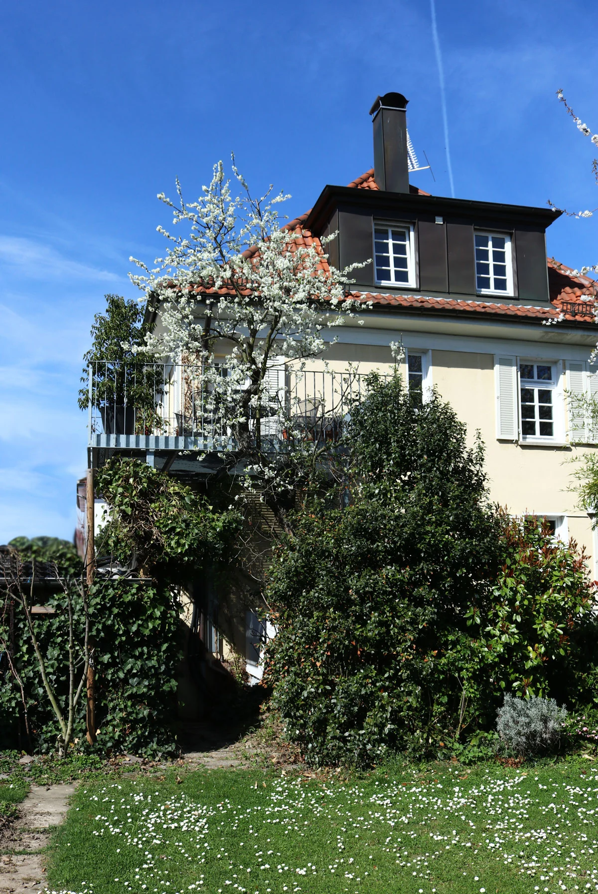 Böcklinstraße — Modernisierung